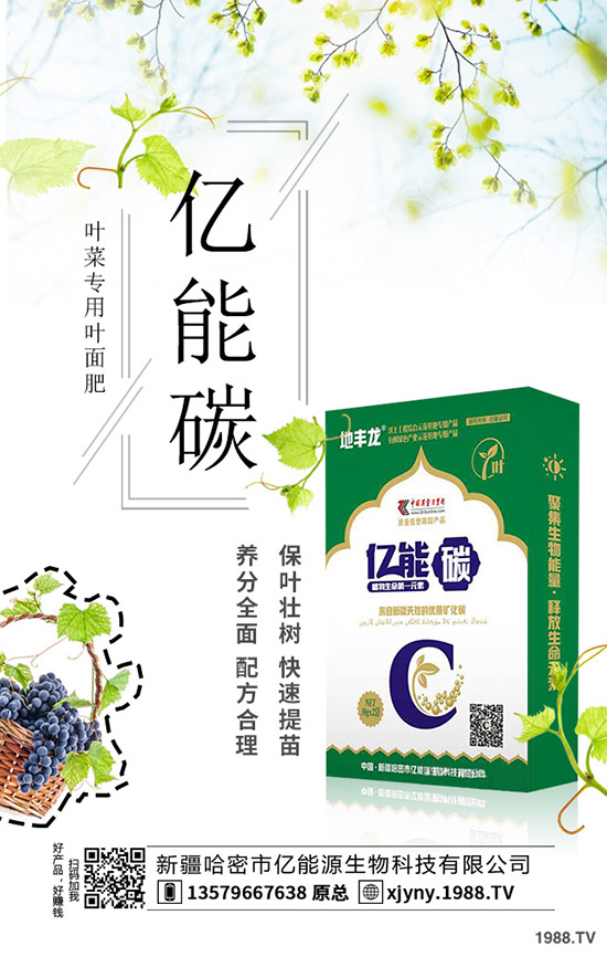 板栗樹怎么種植，板栗高產(chǎn)種植要點(diǎn)！