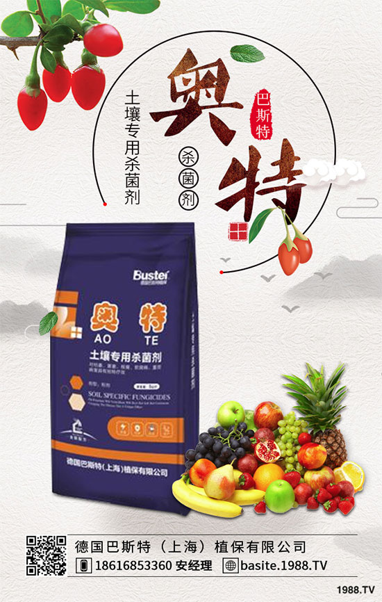 花椰菜出現(xiàn)“散花”怎么辦？花椰菜散花預防措施！