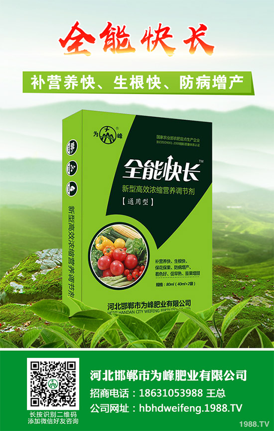 吃茼蒿有哪些好處？茼蒿的功效作用及食用禁忌