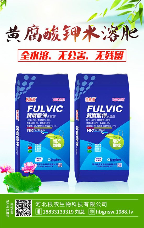 茼蒿該怎么吃？茼蒿的營養(yǎng)吃法及注意事項(xiàng)