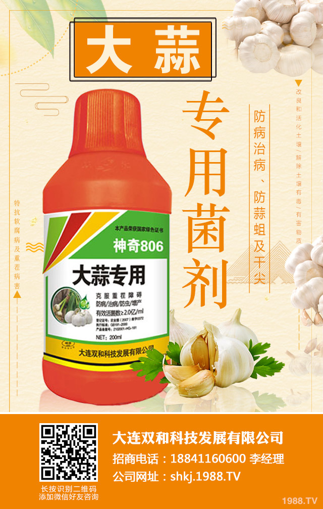 大蒜重茬病害如何防治？大蒜重茬病害防治技巧