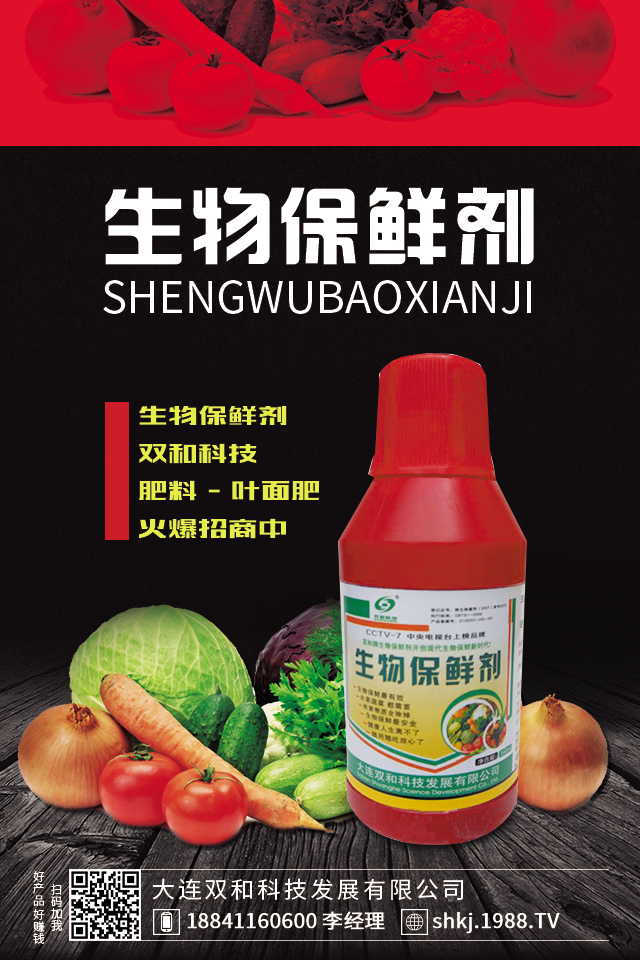 番茄病害怎么防治效果好？秋季大棚番茄病害防治要點(diǎn)