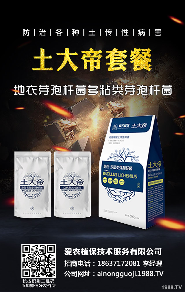 秋播小麥怎么提高質(zhì)量？秋播小麥提高質(zhì)量六要點