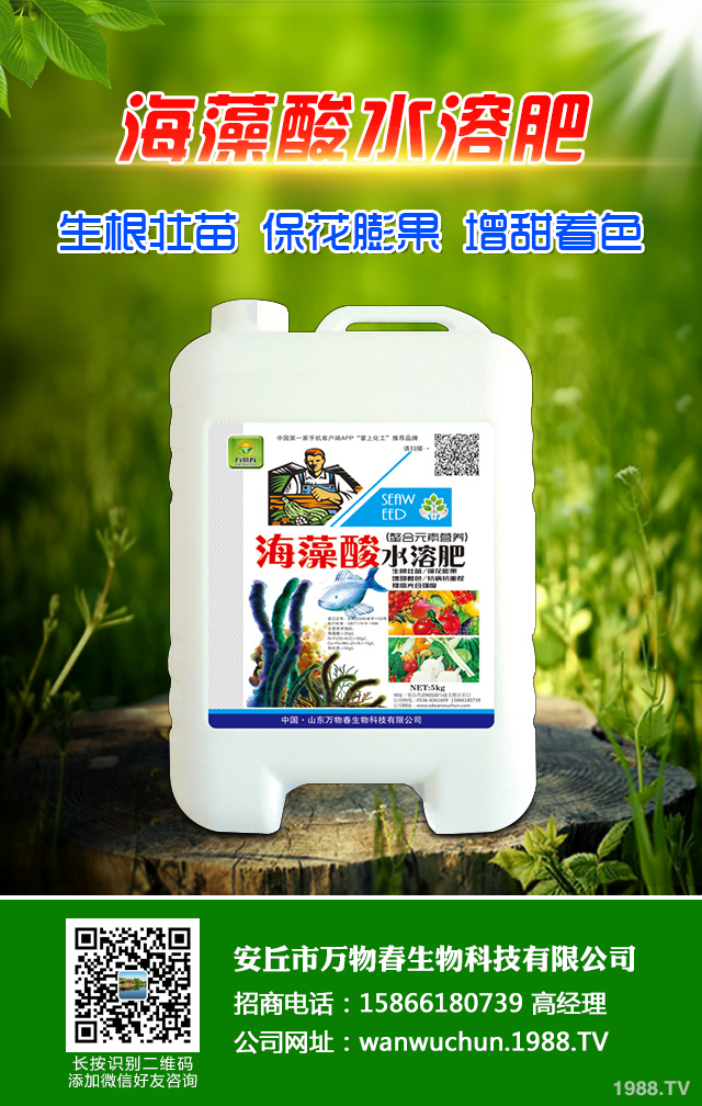 秋播小麥怎么提高質(zhì)量？秋播小麥提高質(zhì)量六要點