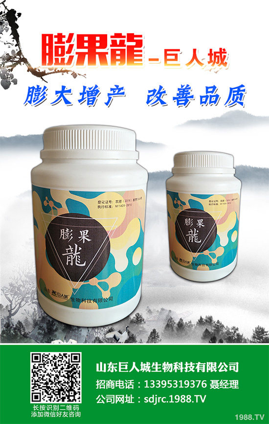 萵苣該如何施肥？萵苣的高產(chǎn)施肥技術(shù)有哪些？這些方法很重要！