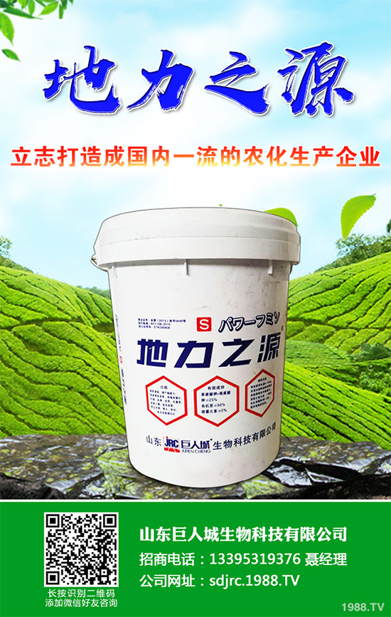 萵苣該如何施肥？萵苣的高產(chǎn)施肥技術(shù)有哪些？這些方法很重要！