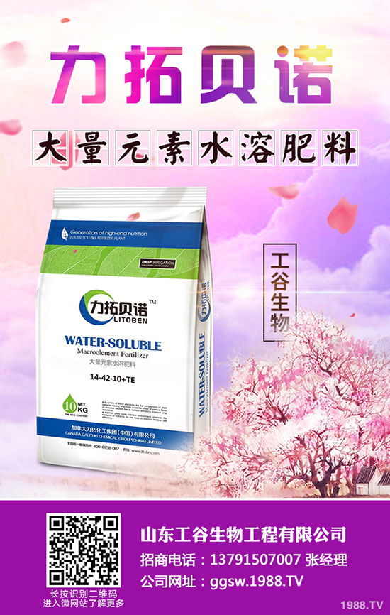 秋冬季小油菜如何種植？秋冬季小油菜種植技術(shù)及田間管理方法！