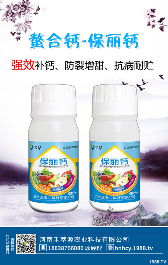 木耳菜怎么種，木耳菜種植時間和種植方法！