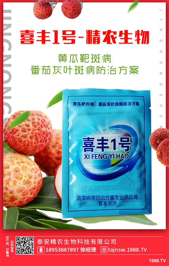 吃萵苣有哪些好處？常見萵苣的做法