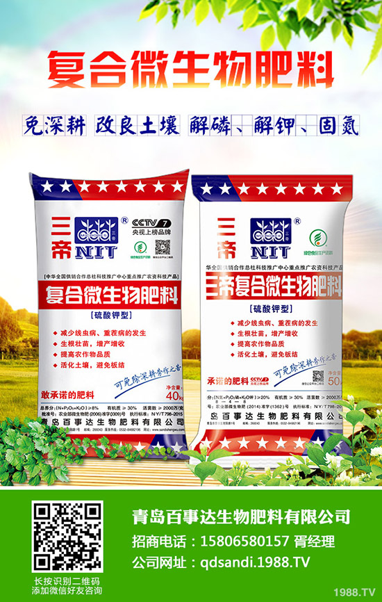 吃牛油果有什么好處？牛油果的功效及食用禁忌！