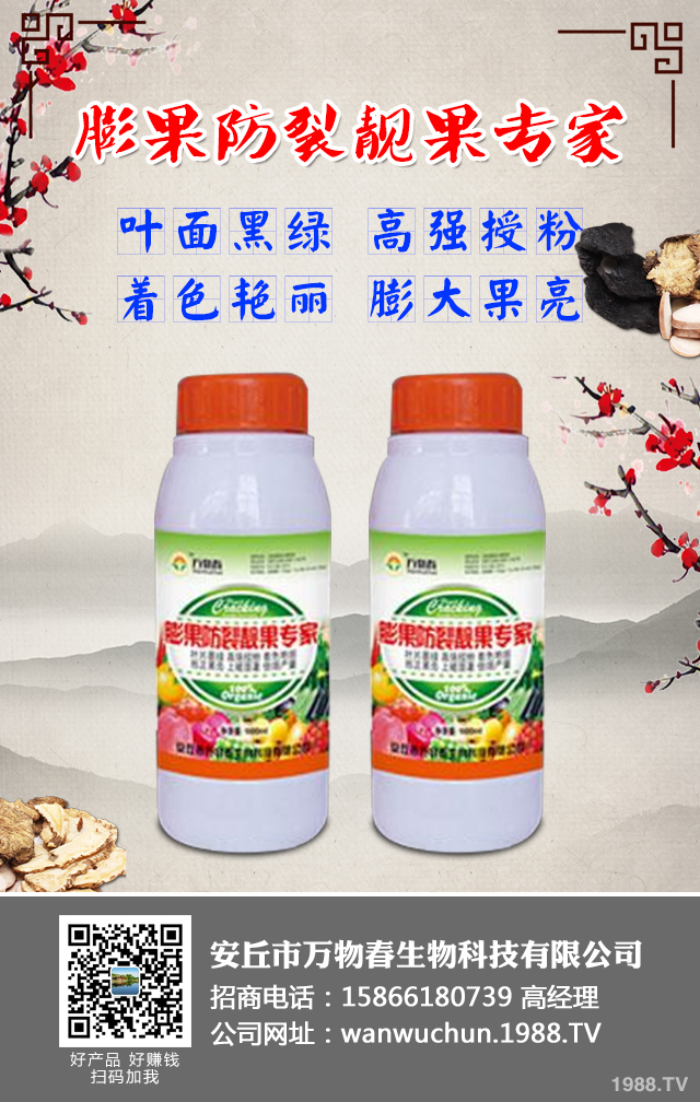 ����A(y��)����ݮ��������ݮ���η��μ���