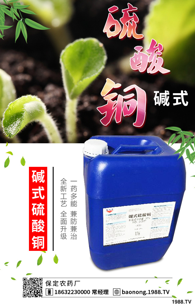 如何巧治蘇鐵葉斑病？蘇鐵葉斑病防治技巧