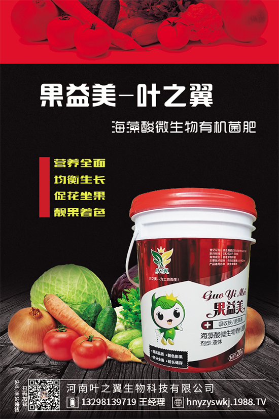 芒果樹環(huán)割的好處，給芒果樹環(huán)割需要注意什么？