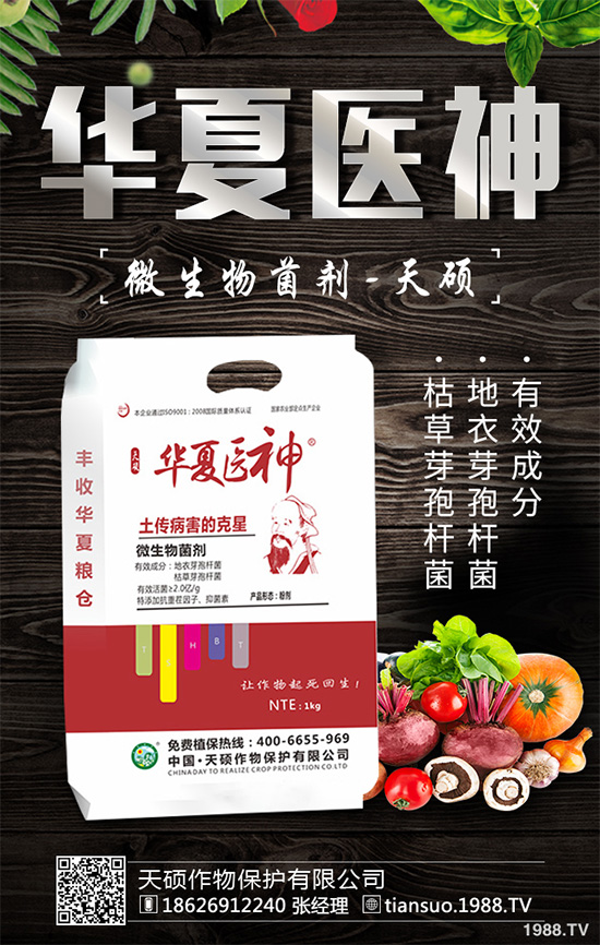     萵苣灰霉病有哪些危害癥狀？是如何引起的？快來看看吧！