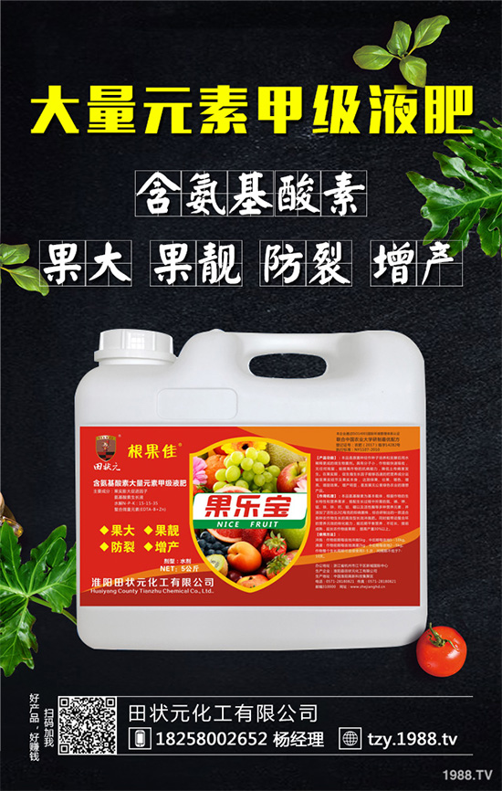     萵苣灰霉病有哪些危害癥狀？是如何引起的？快來看看吧！