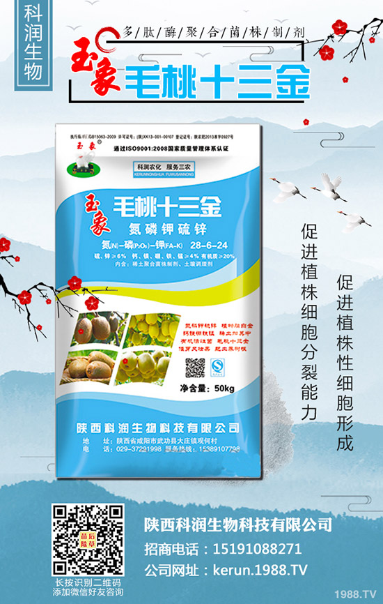     大蔥秋季什么時間種植合適？大蔥秋季種植時間及種植技術(shù)！