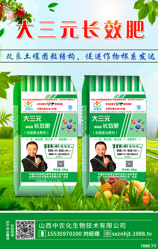     秋季大蔥如何管理？秋季大蔥種植管理方法及技術(shù)！