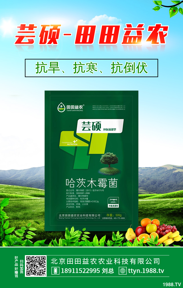 冬季柑橘如何防凍？冬季柑橘防凍技巧