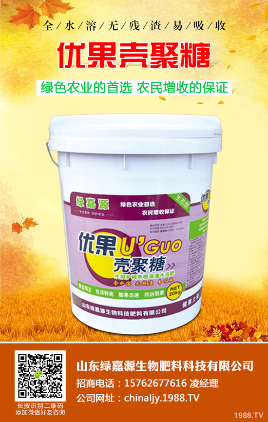 影響水稻分蘗的因素有哪些？如何提高水稻分蘗？