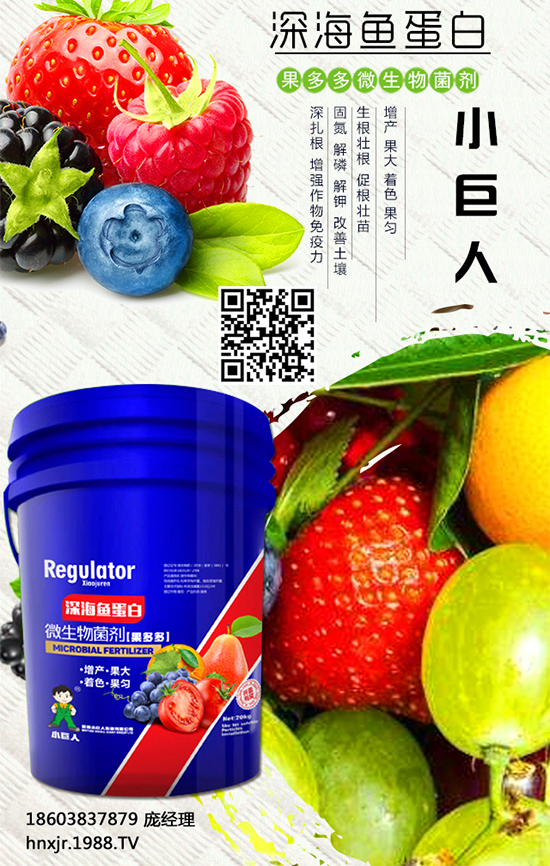 紅薯怎么種植？紅薯種植的高產(chǎn)管理要點(diǎn) 