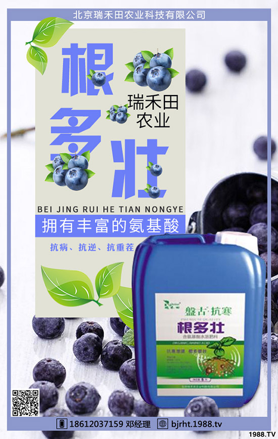 西紅柿什么時間種植，西紅柿種植技巧