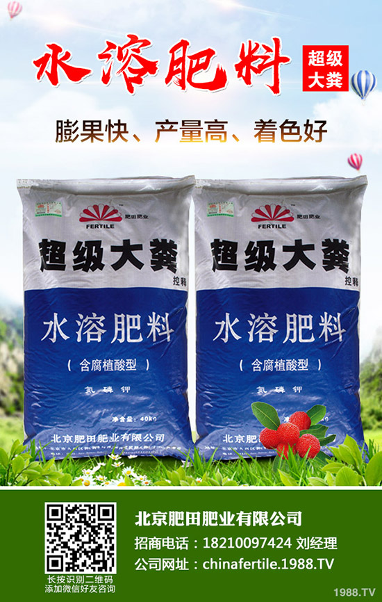 草莓得了紅中柱根腐病怎么辦？草莓紅中柱根腐病識別方法和防治！