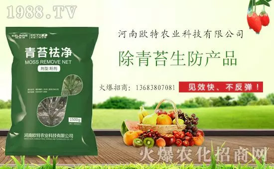 神奇除青苔劑！，不反彈！干凈，青苔無蹤！