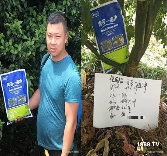 神奇除青苔劑！，不反彈！干凈，青苔無蹤！