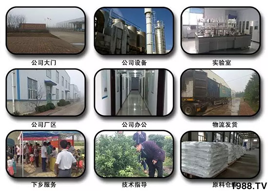 神奇除青苔劑！，不反彈！干凈，青苔無蹤！