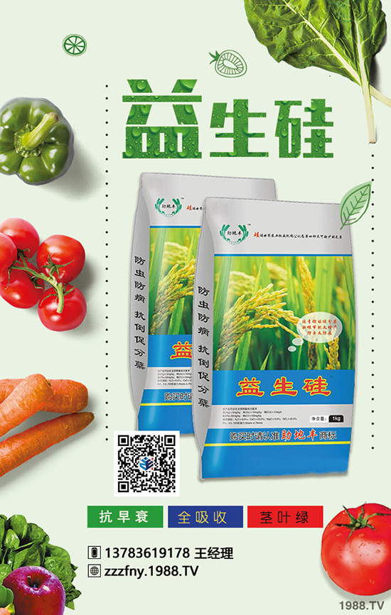 蠶豆施肥有方法，增產(chǎn)增收不在怕！