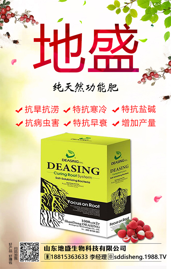 油茶樹的種植管理方法，油茶樹的經(jīng)濟(jì)價值如何？