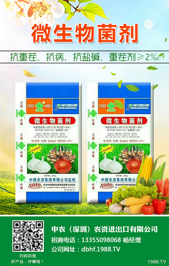 棉花怎么種植產(chǎn)量高？六大技巧讓你的棉花田輕松高產(chǎn)