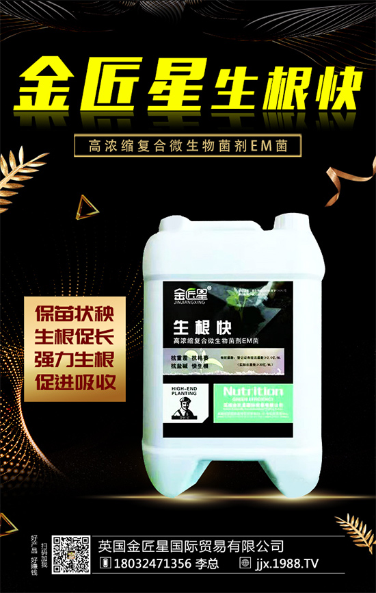 油茶樹的生長特性，油茶樹怎么種植？