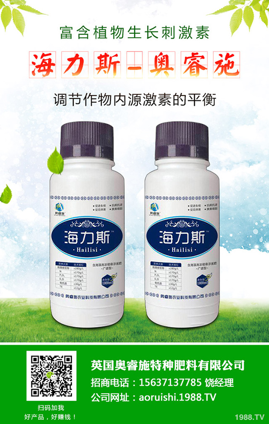 韭菜什么時候種植更好，韭菜種植時間和栽培技術