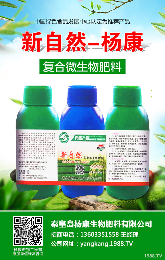 拐棗如何種植，拐棗種植技術(shù)及種植前景！