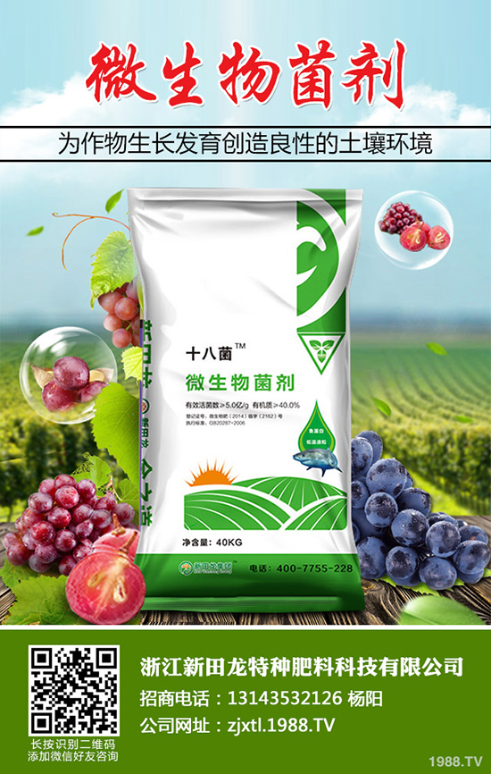 大蒜干尖黃葉什么原因？大蒜干尖黃葉防治方法