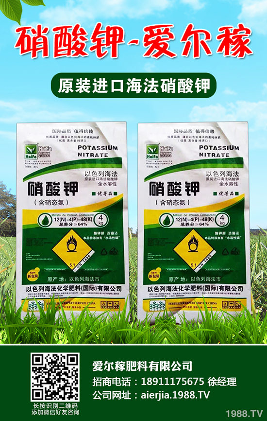 小蔥怎么種植產(chǎn)量高？小蔥的種植小技巧！