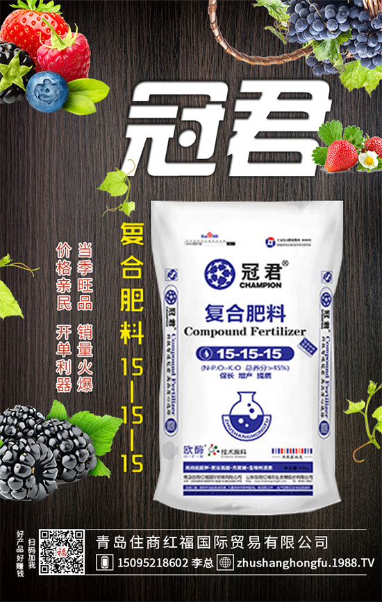 紫甘藍怎么管理？冬春茬紫甘藍種植管理要點！