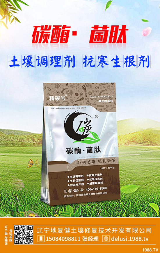     芹菜斑枯病有哪些危害癥狀？芹菜斑枯病的危害及防治