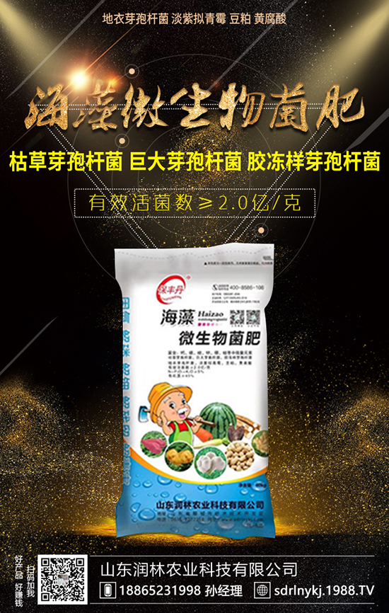 龍眼種植有三大要求，種植龍眼要考慮！