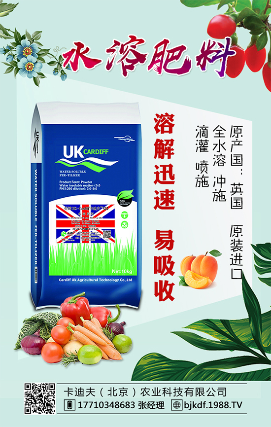 �S����Ҫ��ô�Nֲ���S���ˌ�(du��)�h(hu��n)���l����Ҫ��