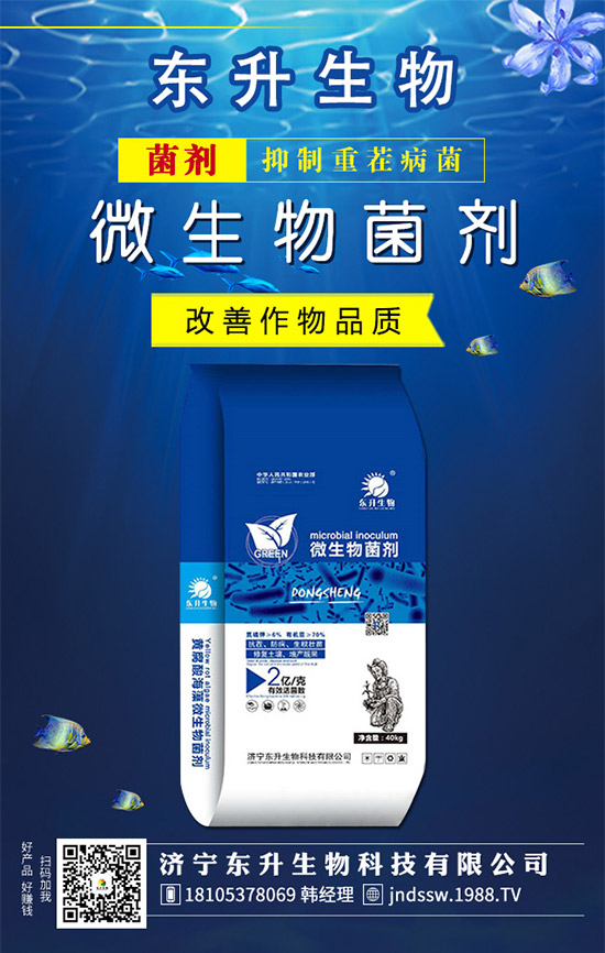 ʯ���(sh��)ʲô�r(sh��)��޽Ӻ���ʯ���(sh��)�޽ӷ�������Щ����