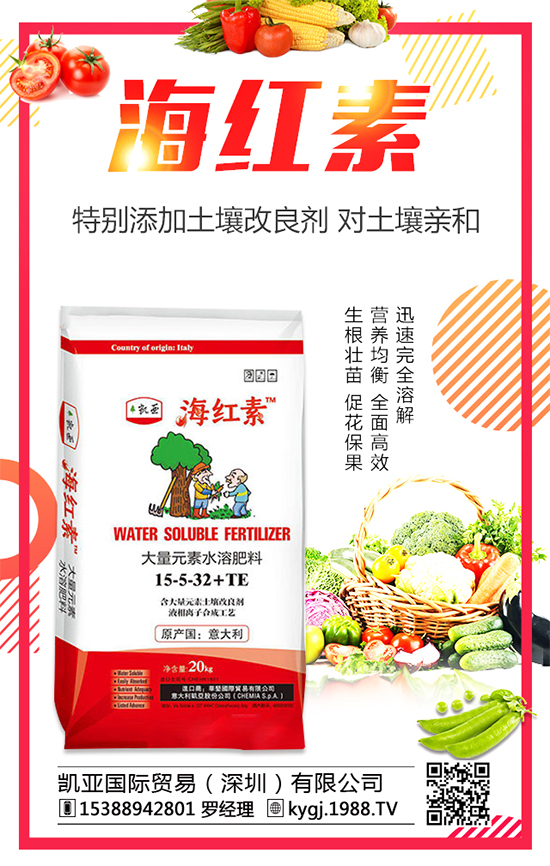 石榴樹幾年開花結(jié)果？石榴樹只開花不結(jié)果的原因！