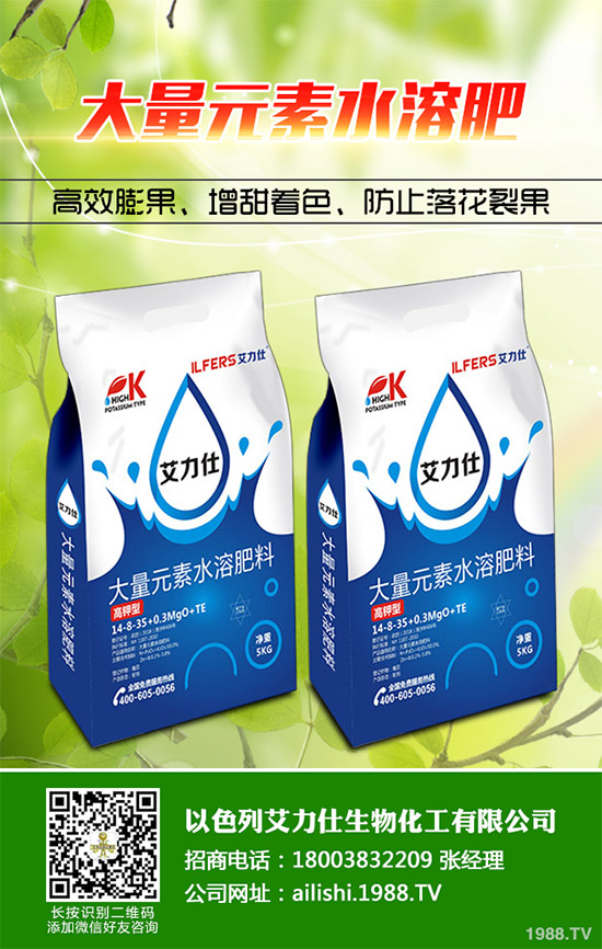 芹菜根腐病是如何發(fā)生的？該怎樣防治？快來看看吧！