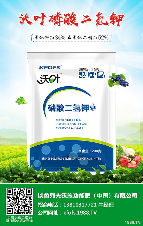 芹菜病毒病有哪些危害？該如何防治？芹菜病毒病的危害與防治