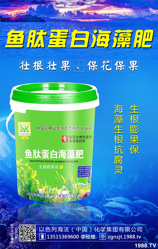 芹菜病毒病有哪些危害？該如何防治？芹菜病毒病的危害與防治
