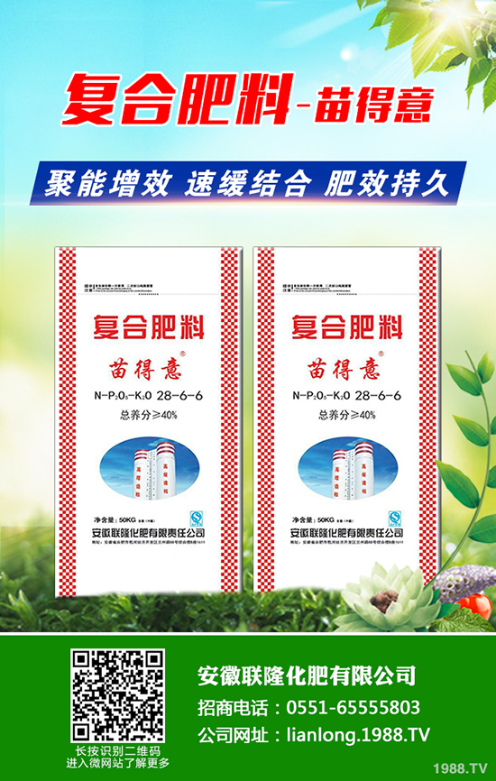 種植黑老虎賺錢嗎？種植前景及市場(chǎng)行情如何？一畝田投入成本多少？