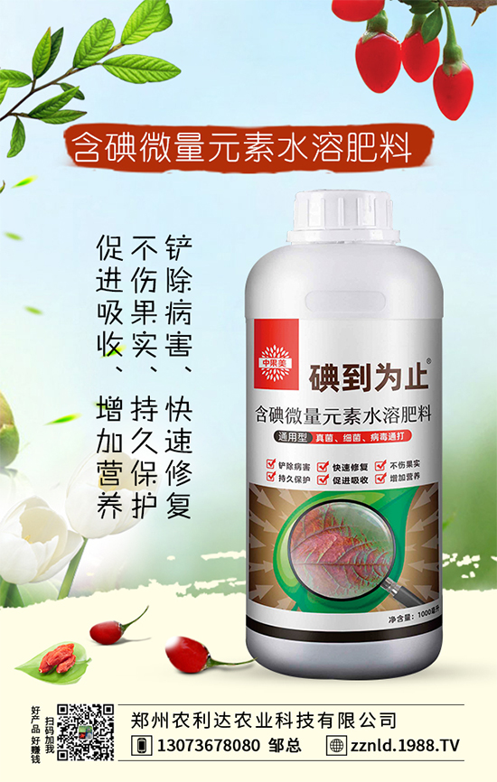 君子蘭的科學(xué)施肥方法，你了解嗎？