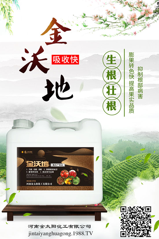 苦瓜白粉病癥狀及危害，苦瓜白粉病的防治妙招！