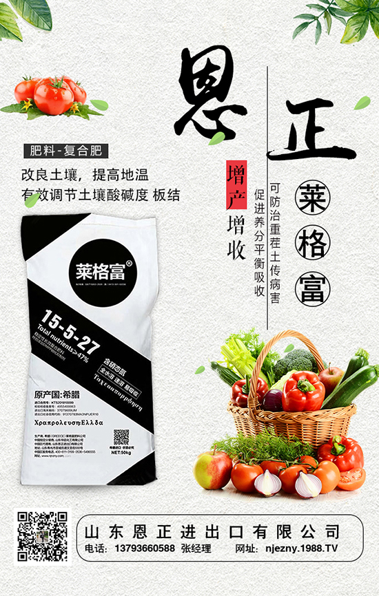 一起來看生菜的需肥特點以及生菜施肥技巧